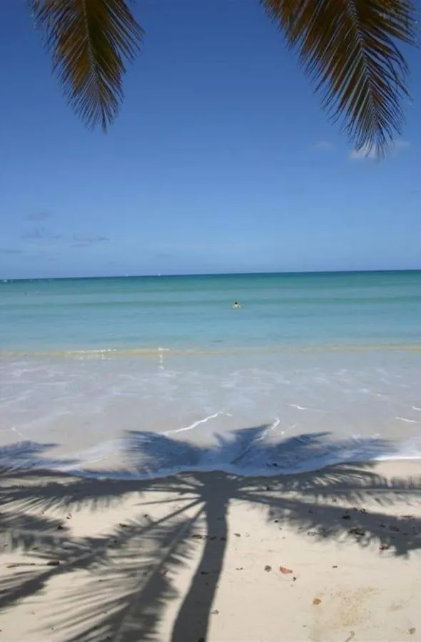 T2 Les Pieds Dans L'Eau Face A La Mer Des Caraibes Sainte Luce - Trois Rivieres