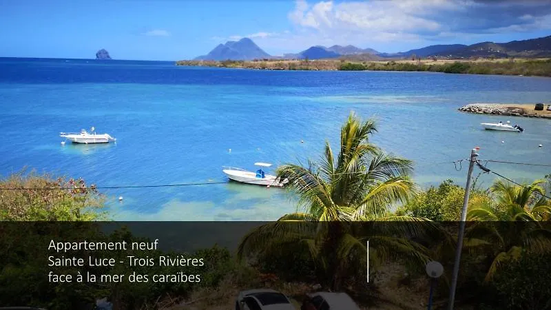T2 Les Pieds Dans L'Eau Face A La Mer Des Caraibes Sainte Luce - Trois Rivieres Sainte-Luce