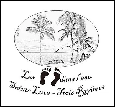 T2 Les pieds dans l'eau face à la mer des caraïbes Sainte Luce - Trois Rivières Martinique